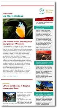 Une newsletter au design sur mesure